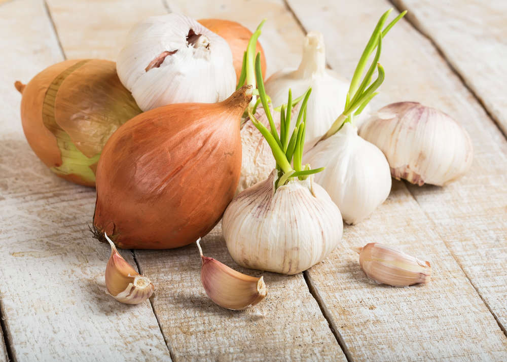 Garlic and onion