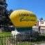 Your Most Trusted Oral Surgeons in Lemon Grove