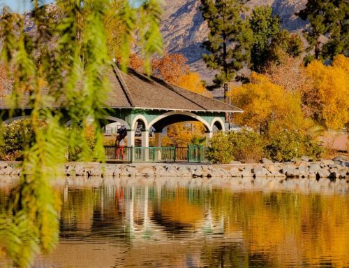 Emergency Dentist in Lakeside