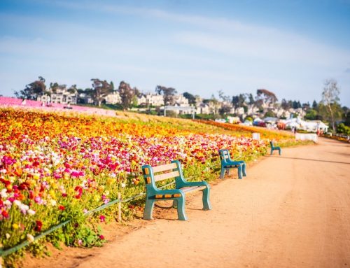 Oral Surgery Services in Carlsbad, CA