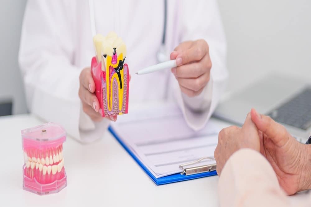 What Plaque and Tartar Actually Do to Your Teeth